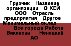 Грузчик › Название организации ­ О’КЕЙ, ООО › Отрасль предприятия ­ Другое › Минимальный оклад ­ 25 533 - Все города Работа » Вакансии   . Ненецкий АО